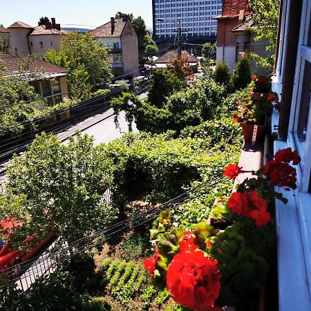 Apartament Hunter Leilighet Cluj-Napoca Eksteriør bilde