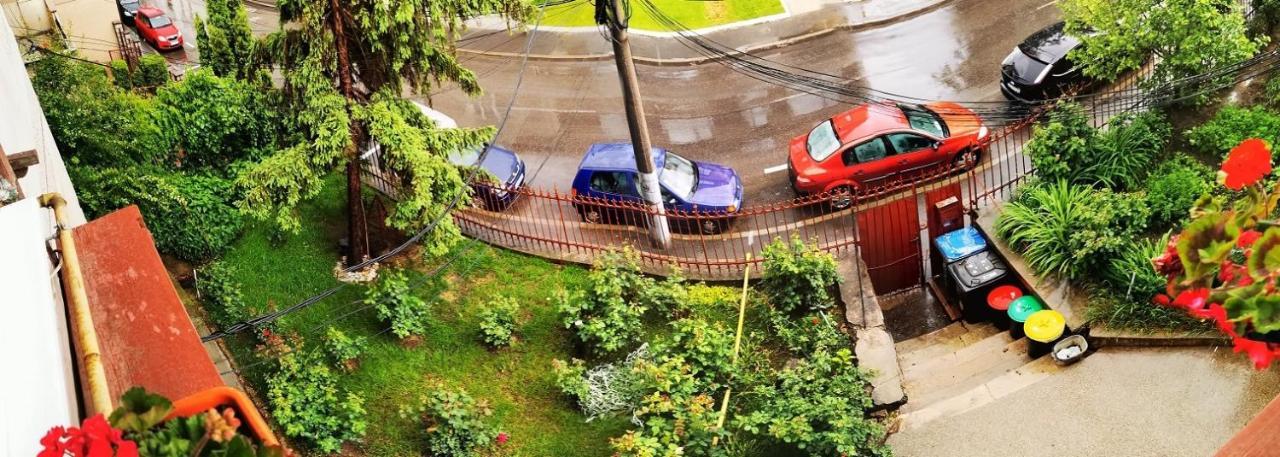 Apartament Hunter Leilighet Cluj-Napoca Eksteriør bilde