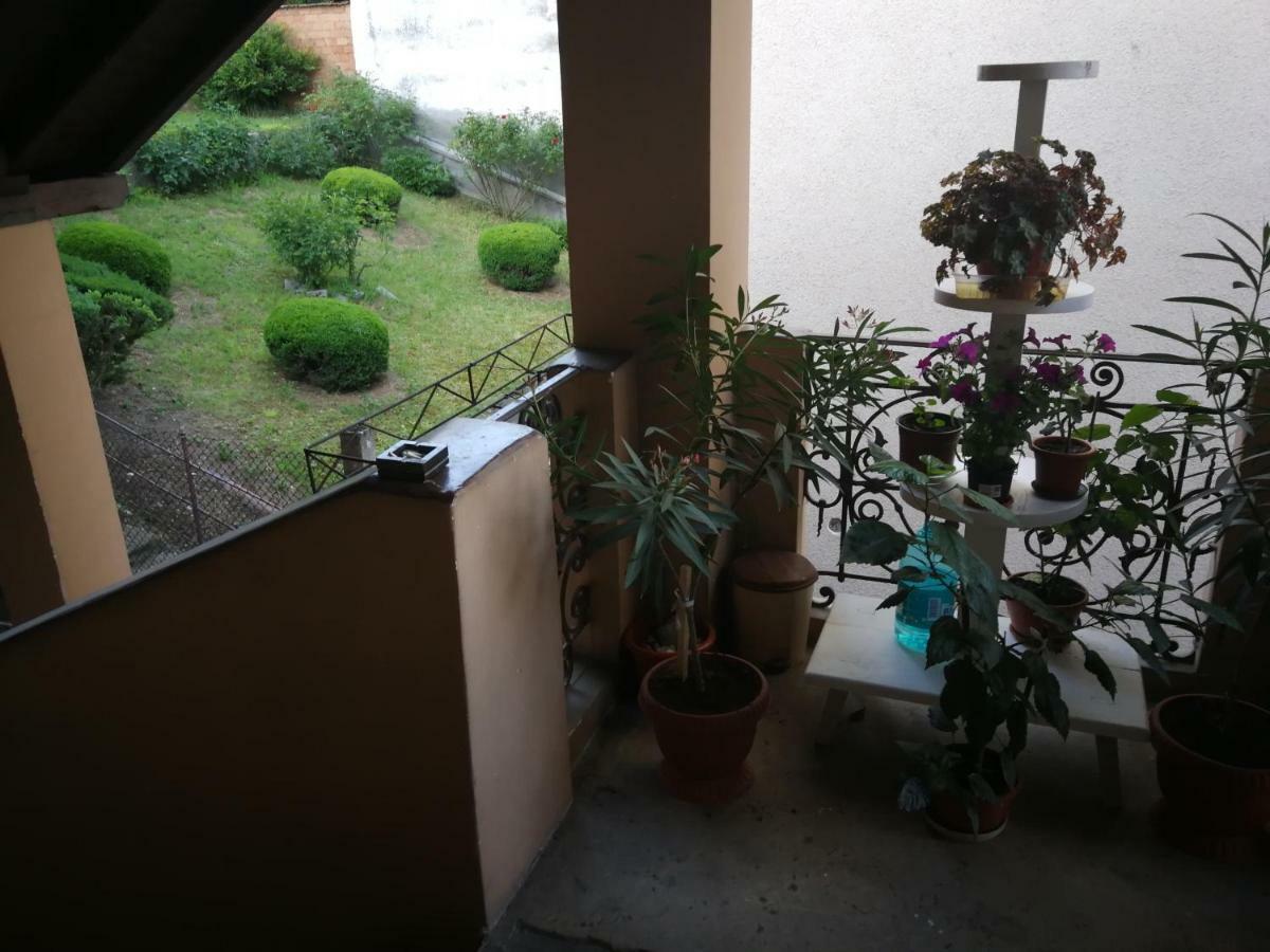 Apartament Hunter Leilighet Cluj-Napoca Eksteriør bilde