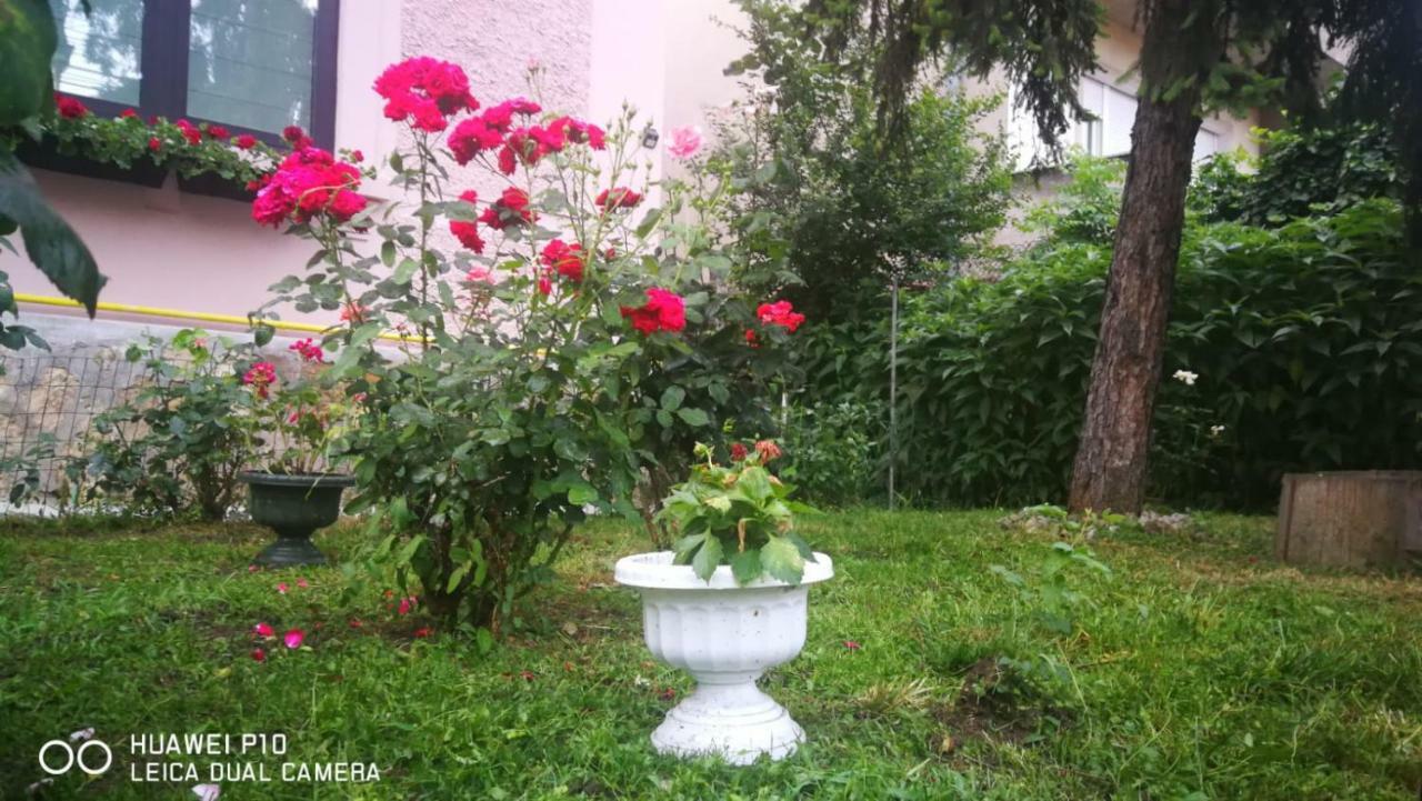 Apartament Hunter Leilighet Cluj-Napoca Eksteriør bilde