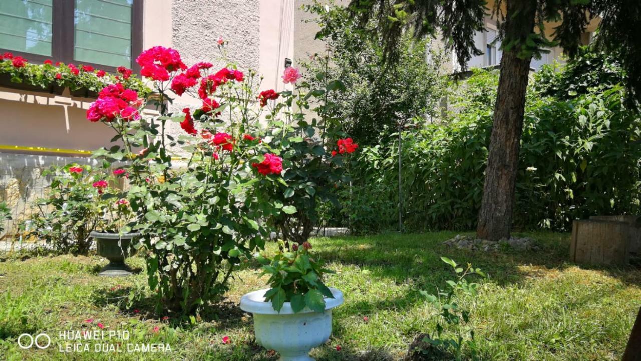 Apartament Hunter Leilighet Cluj-Napoca Eksteriør bilde