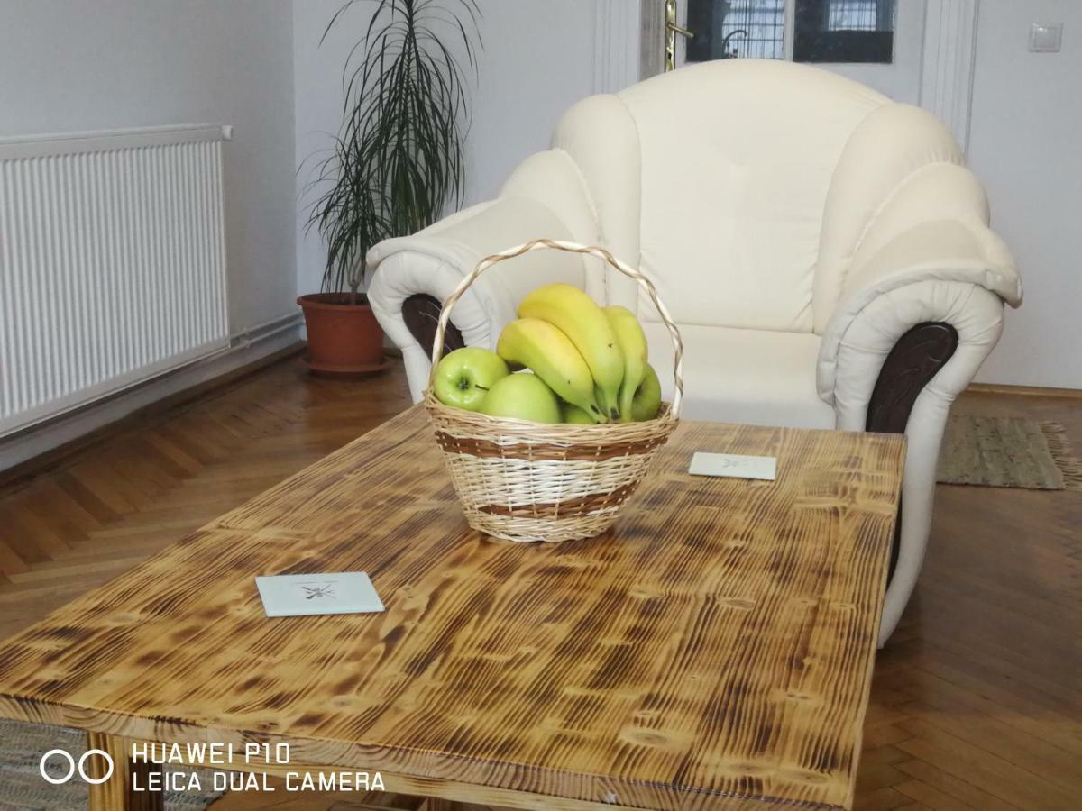 Apartament Hunter Leilighet Cluj-Napoca Eksteriør bilde