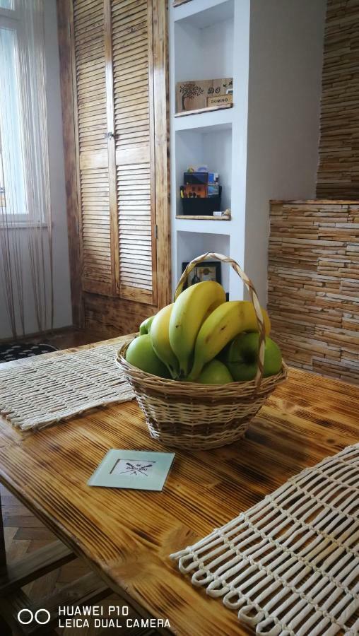 Apartament Hunter Leilighet Cluj-Napoca Eksteriør bilde