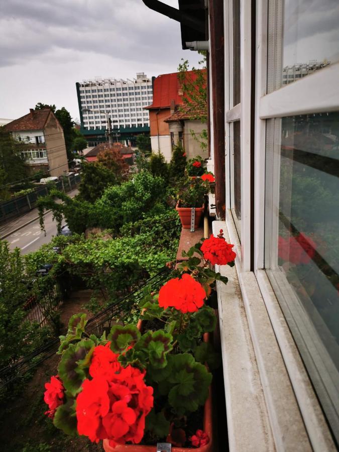 Apartament Hunter Leilighet Cluj-Napoca Eksteriør bilde