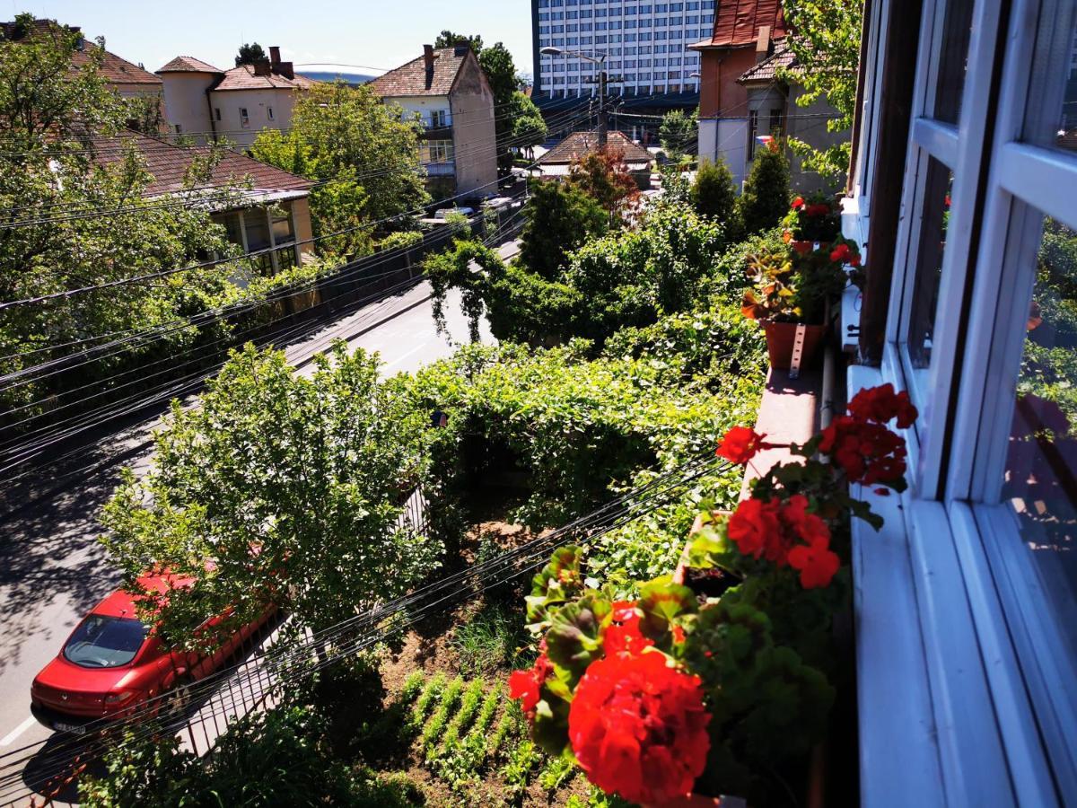 Apartament Hunter Leilighet Cluj-Napoca Eksteriør bilde